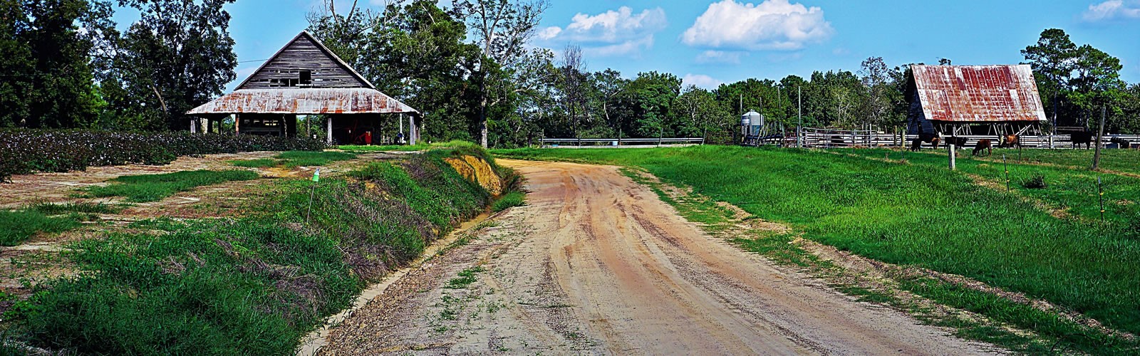 Welcome to Thomas County, Georgia.