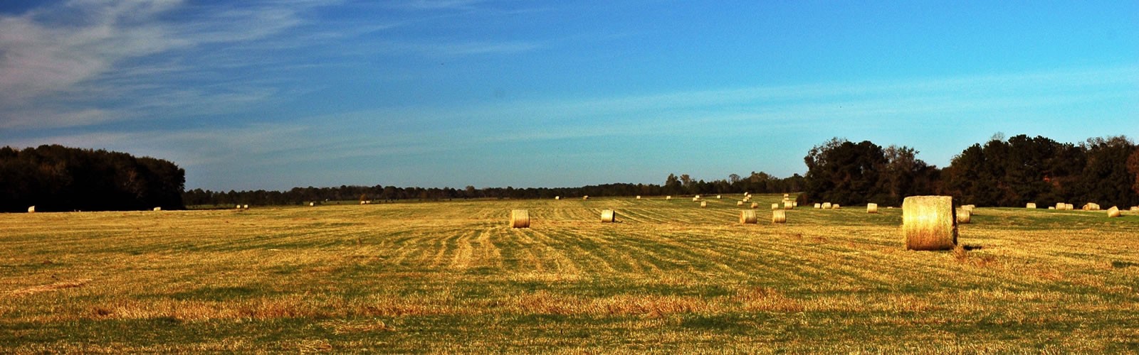 Welcome to Thomas County, Georgia.